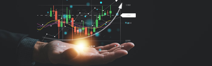 Our Portfolio