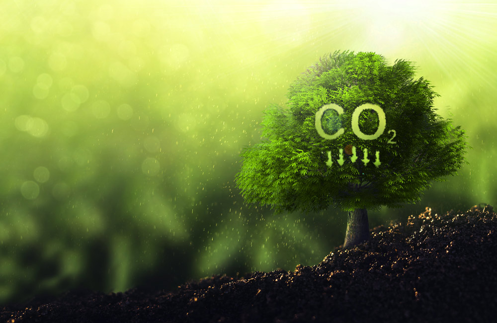 Environmental image 1
